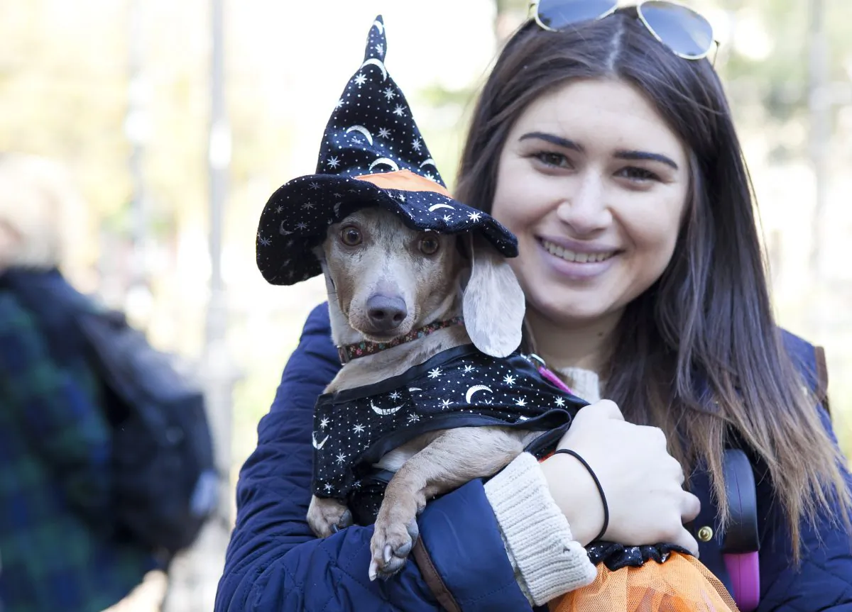 Dog in a costume with its owner at the 23rd annual Halloween Dog Parade at Tompkins Square in NYC on Oct. 26, 2013. (Samira Bouaou/Epoch Times)