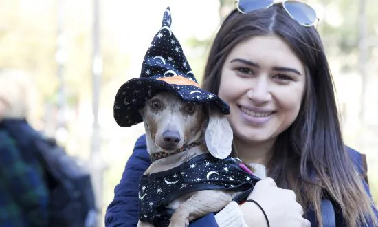Halloween in Australia: 21 Percent Ready to Party, 79 Percent Hiding From Sugar-Crazed Kids