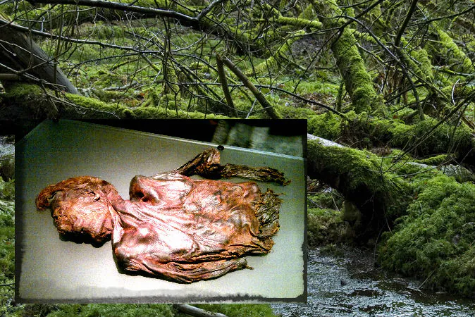 Left: Clonycavan Man, who lived around the 4th or 3rd century B.C., now a “bog body,” on display at the National Museum of Ireland in Dublin. (Mark Healey/Wikimedia Commons) Background: A file photo of a bog. (Shutterstock*)