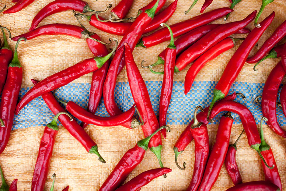 Chilis drying in the sun in Mokpo ( Jarrod Hall/Epoch Times)