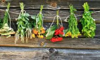 The Natural Medicine Cabinet
