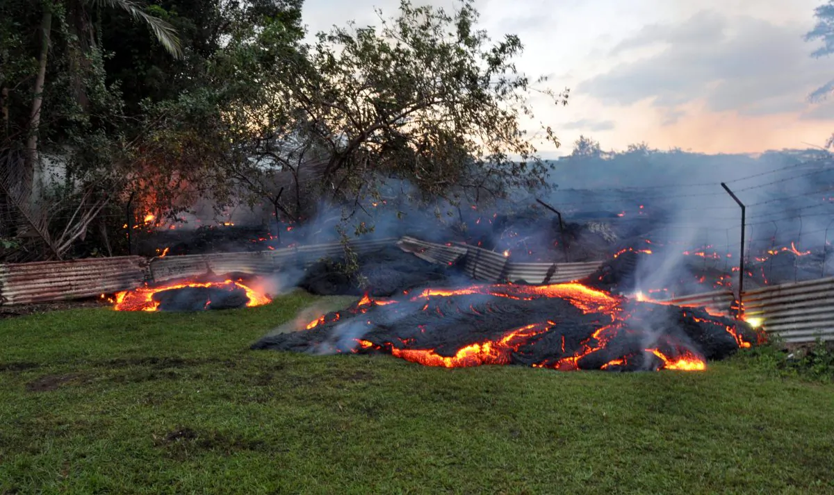 This Oct. 28, 2014, photo provided by the US Geological Survey shows lava that has pushed through a fence marking a property boundary above the town of Pahoa on the Big Island of Hawaii. After weeks of slow, stop-and-go movement, a river of asphalt-black lava was less than the length of a football field from homes in the Big Island community Tuesday. The lava flow easily burned down an empty shed at about 7:30 a.m., several hours after entering a residential property in Pahoa Village, said Hawaii County Civil Defense Director Darryl Oliveira. A branch of the molten stream was less than 100 yards (90 meters) from a two-story house. It could hit the home later Tuesday if it continues on its current path, Oliveira estimated. Residents of Pahoa Village, the commercial center of the island's rural Puna district south of Hilo, have had weeks to prepare for what's been described as a slow-motion disaster. Most have either already left or are prepared to go. (AP Photo/US Geological Survey)