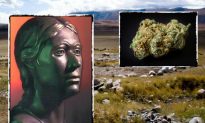 2,500-Year-Old Siberian Mummy: Ancient Princess Used Cannabis to Treat Breast Cancer?