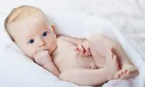 Plastics Chemical Linked to Changes in Baby Boys’ Genitals