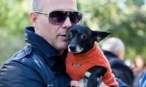 6 Halloween Safety Tips for Pets