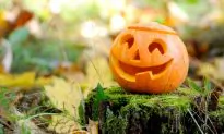 Halloween’s Pumpkins Pack a Nutritional Punch