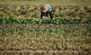 China Is Poorer Than It Appears 