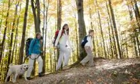 7 Essentials for Any Hiking Trip