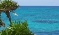 Be in Nature, BE Tulum