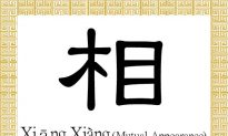 Chinese Character for Mutual, Appearance: Xiāng, Xiàng (相)