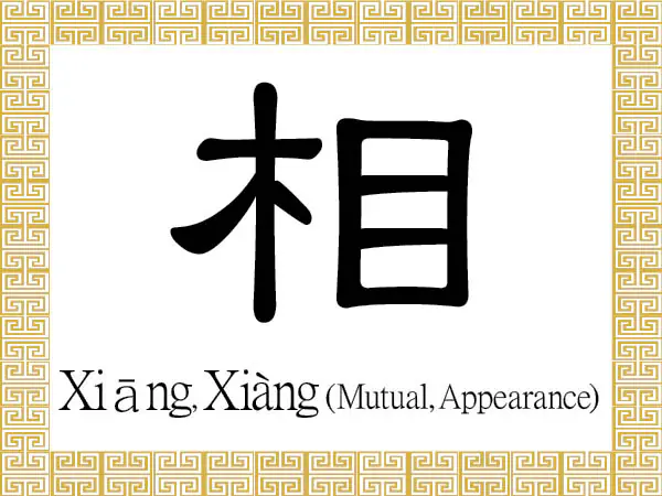 The Chinese character 相 (xiāng) stands for appearance or countenance. As an adjective or adverb, it is used to describe the concept of "each other," or being mutual, reciprocal, or correlative. (Epoch Times)