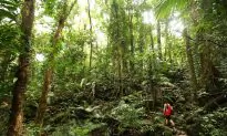 Palaszczuk Wants Queenslanders to Spend $12 Billion Exploring the State