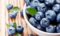 Blueberries: Small Fruit Delivers Big Reward