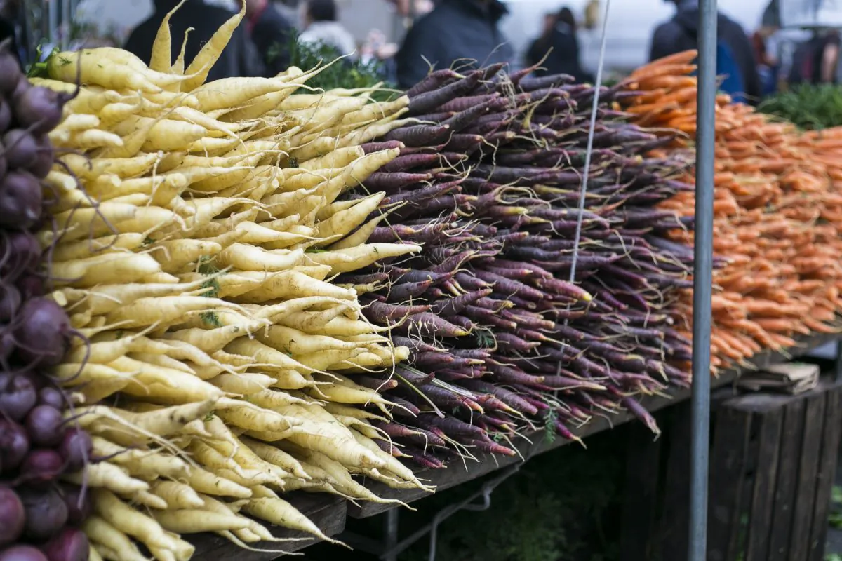 Carrots at Union Square Market in New York, NY, on Oct. 1, 2014. (Samira Bouaou/Epoch Times)