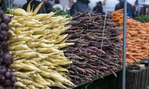 Grow Bigger, Better Carrots: Soil Prep, Planting & Harvesting