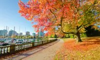 Vancouver on the Cheap