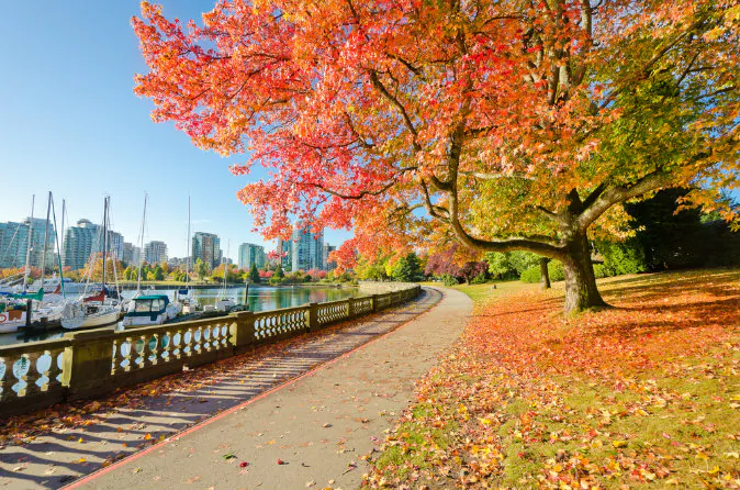 Stanley Park in Vancouver via Shutterstock*