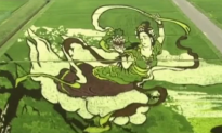 A Japanese Town Creates Works of Art in Rice Fields (Video)