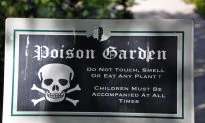 Meet Five of the UK’s Most Poisonous Plants