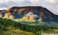 Why Alaska Is a Must to Visit