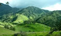 Best Time to Visit Santa Elena, Colombia