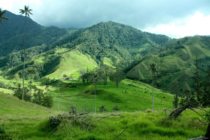 Colombia (Shutterstock*)
