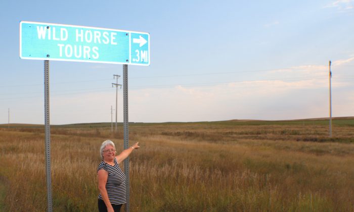 Karen Sussman ISPMB President pointing to road sign that indicates the ranch. Visitors are welcome. The conservancy is 12 miles from Eagle Butte, South Dakota. Few there are that venture 2 1/2 hours from Rapid City to see the amazing horses under Karen's watch. (Myriam Moran copyright 2014)