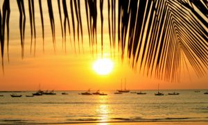 Costa Rica Travel Guide