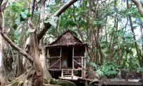 5 Adventures to Take in Dominica