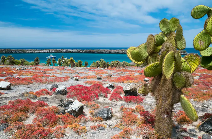 Beautiful landscape of Galapagos via Shutterstock*