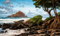 Top Tourist Attractions in Maui, Hawaii