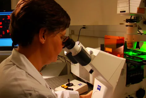 Scientists Discover a Virus That Makes You Stupid (Video)