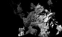 Rosetta Comet Craft Lands in Shadow, Faces Power Problems (+Videos)