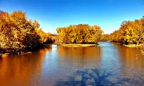 Hiking Sturgeon Slough Is Just Golden