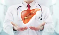 6 Bodily Tissues That Can Be Regenerated Through Nutrition