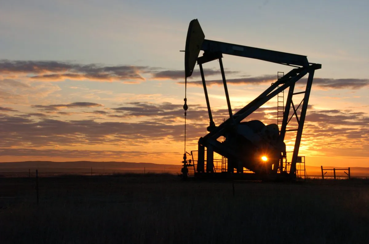 Whiting Petroleum Co. pump jack pulls crude oil from the Bakken region of the Northern Plains near Bainville, Mont. Discoveries of vast reserves of oil and the slow progress of alternatives in recent years has given rise to a very different outlook on oil prices. (AP Photo/Matthew Brown, File)