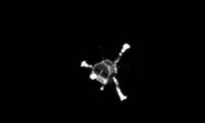 No Signals Heard From Comet Lander Saturday