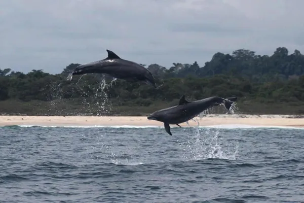 Gabon Reserves 23% of Its Coastal Waters