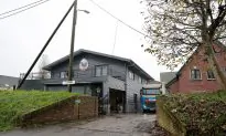 Avian Flu in Netherlands and UK Poses Low Risk to Humans
