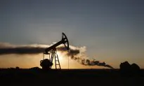 Middle Eastern Economies: Outlook, Policy Options, and the US Role