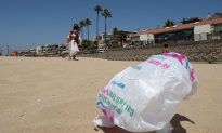 California AG Asks Companies to Prove Plastic Bags Are Recyclable