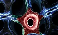 Engineering’s Unexpected and Microscopic Beauty