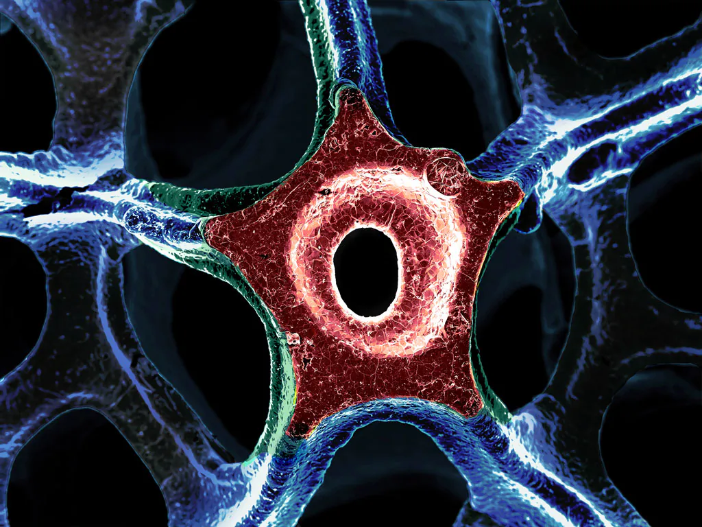 Asteroidea Electrica, first prize winner by Adrianus Indrat Aria. (Cambridge University, CC BY)