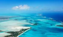 Top Caribbean Islands Not to Miss!