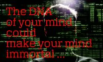 What Is the DNA of Your Mind?