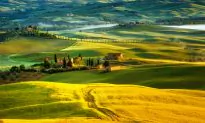 Experiencing the Best of Tuscany (in One Day!)