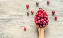 How Cranberries Stop Cancer