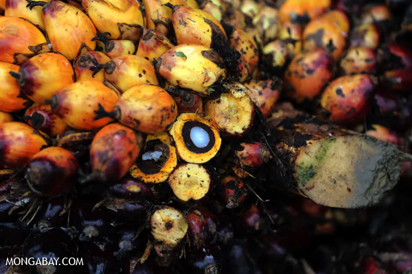 IKEA Commits to Zero Deforestation Palm Oil