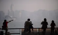 Statins: Widely Used Drugs May Protect People From Air Pollution