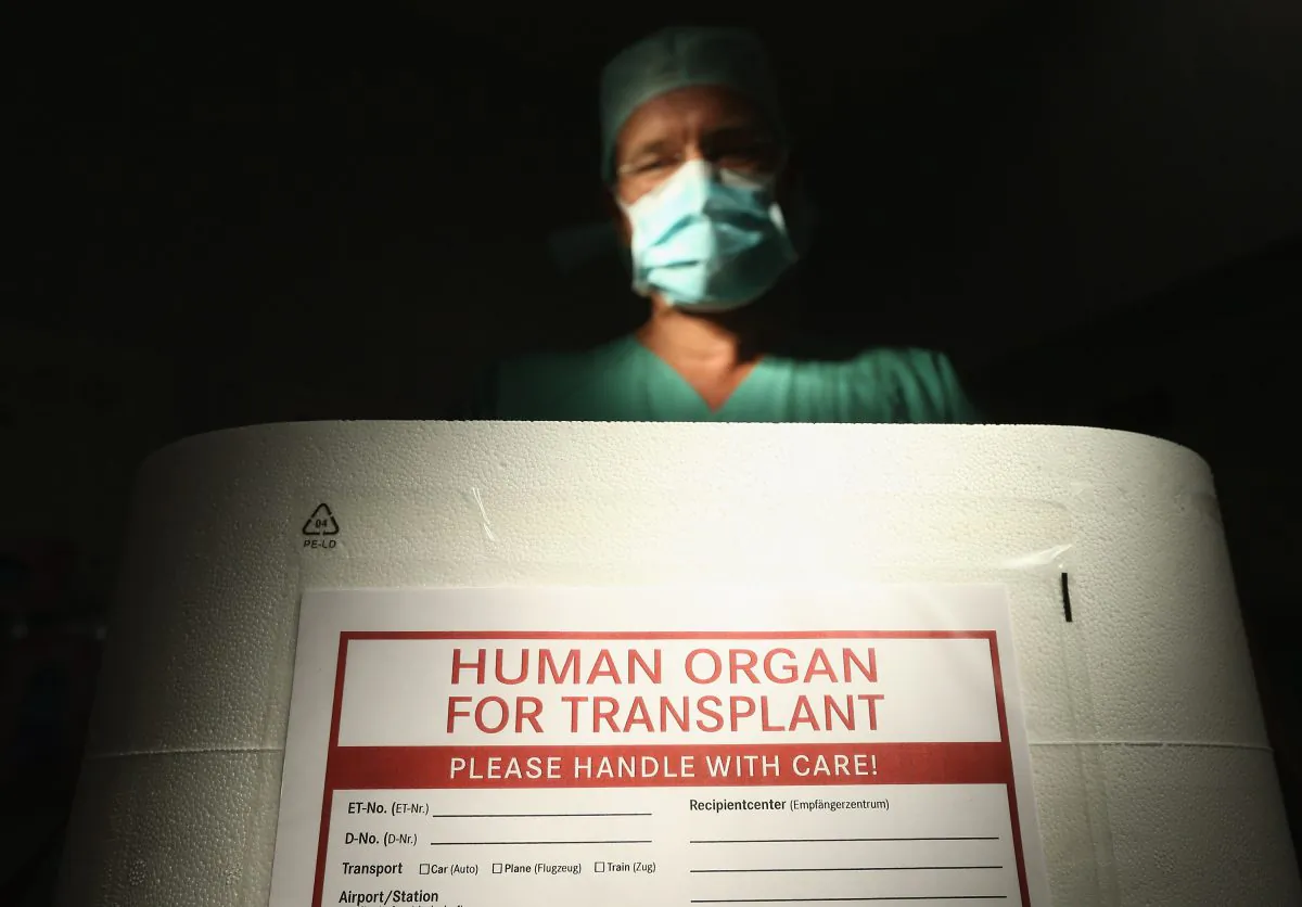 A doctor stands over an empty Styrofoam box used for transporting human organs as part of a media event in an operation room at the Vivantes Neukoelln clinic on Sept. 28, 2012, in Berlin, Germany. (Sean Gallup/Getty Images)